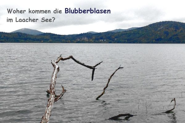 Woher kommen die Blubberblasen im Laacher See