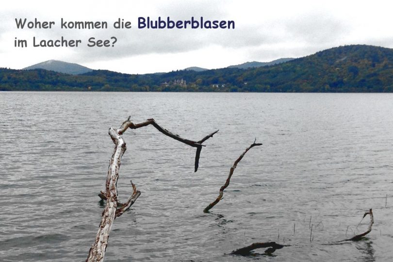 Woher kommen die Blubberblasen im Laacher See
