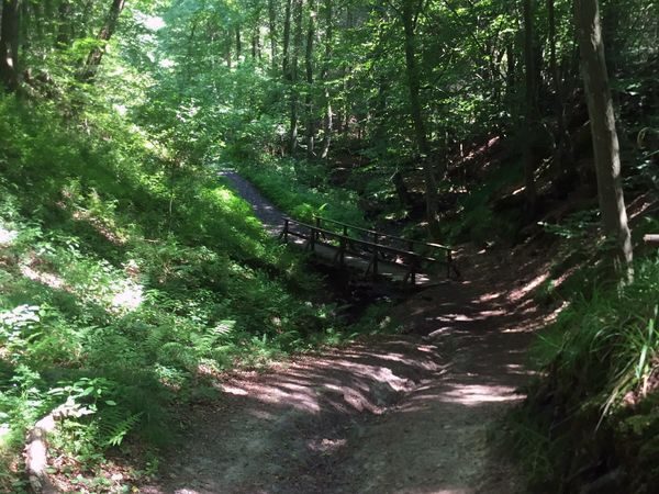 Holzbrücke auf dem Wanderweg durch das Kasbachtal