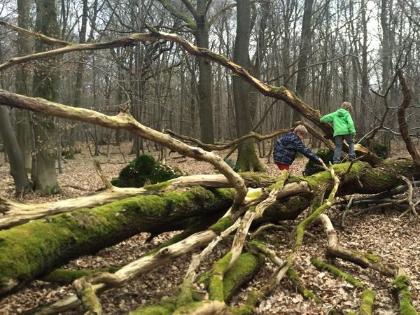 Wandern mit Kindern, was ist Wandern, spielen im Wald