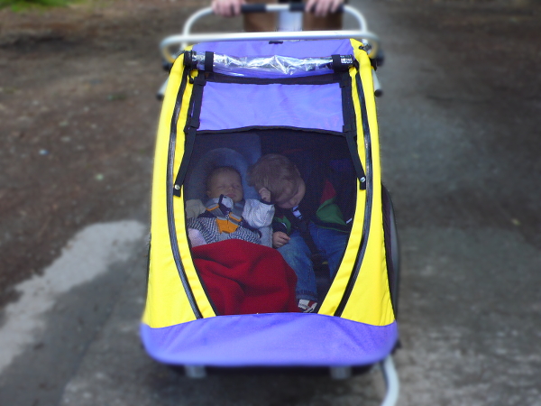 Kinder im Fahrradanhänger als Doppelkinderwagen